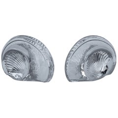 Sujetalibros de concha de cristal Blenko