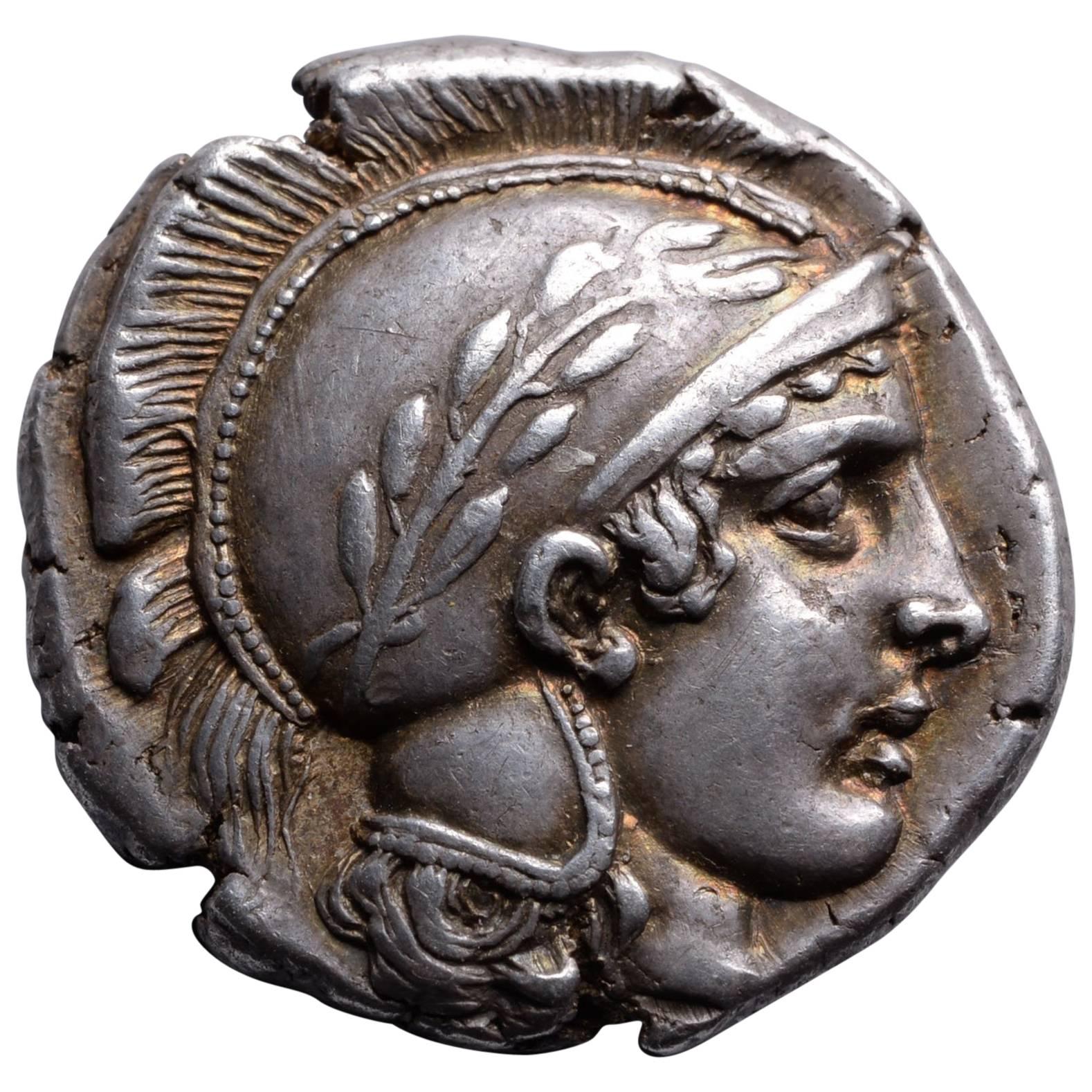 Ancient Greek Silver Stater Coin from Thurium South Italy, 443 BC