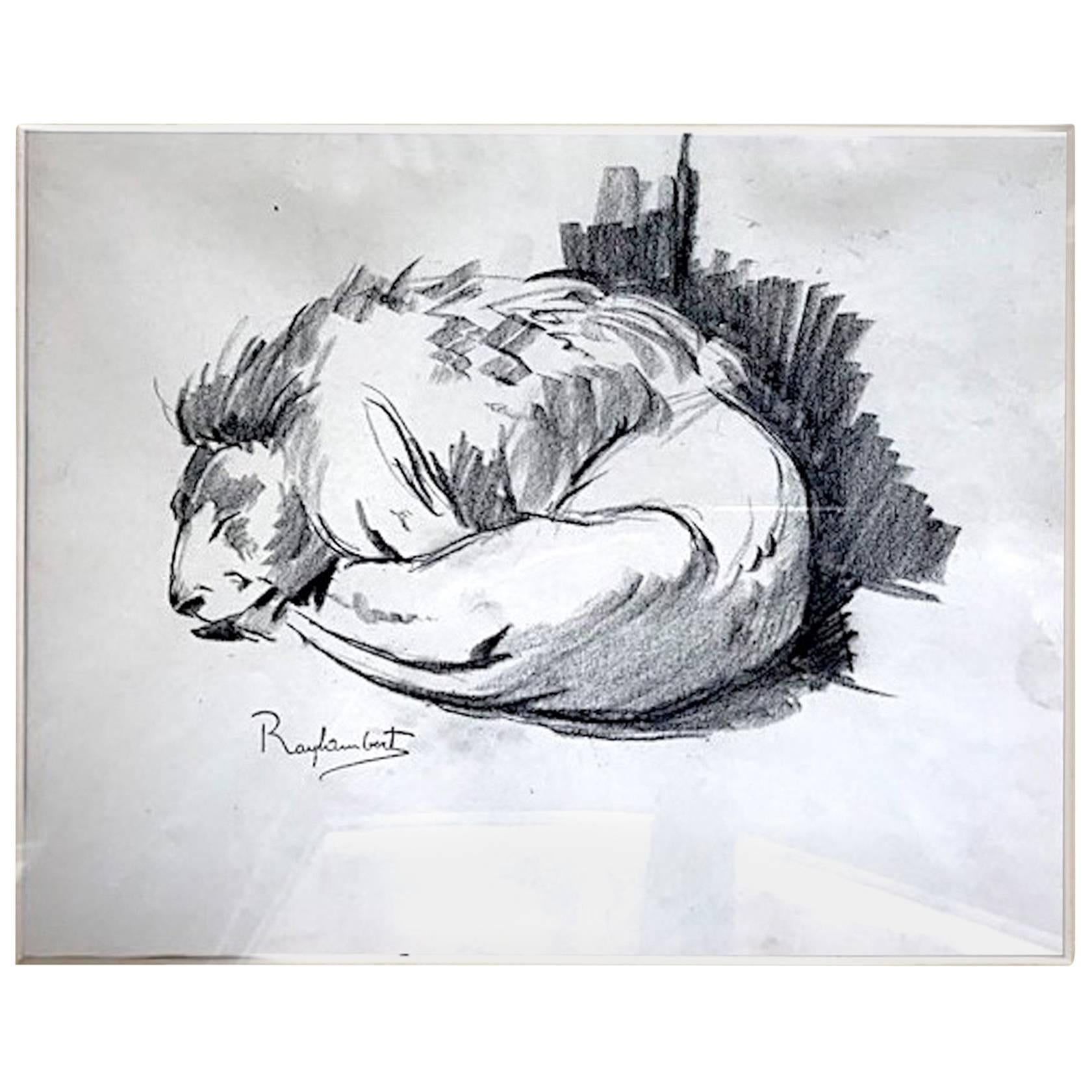 Paul Jouve Period  4  Original French Drawing Most of Lion by Raylambert, 1940