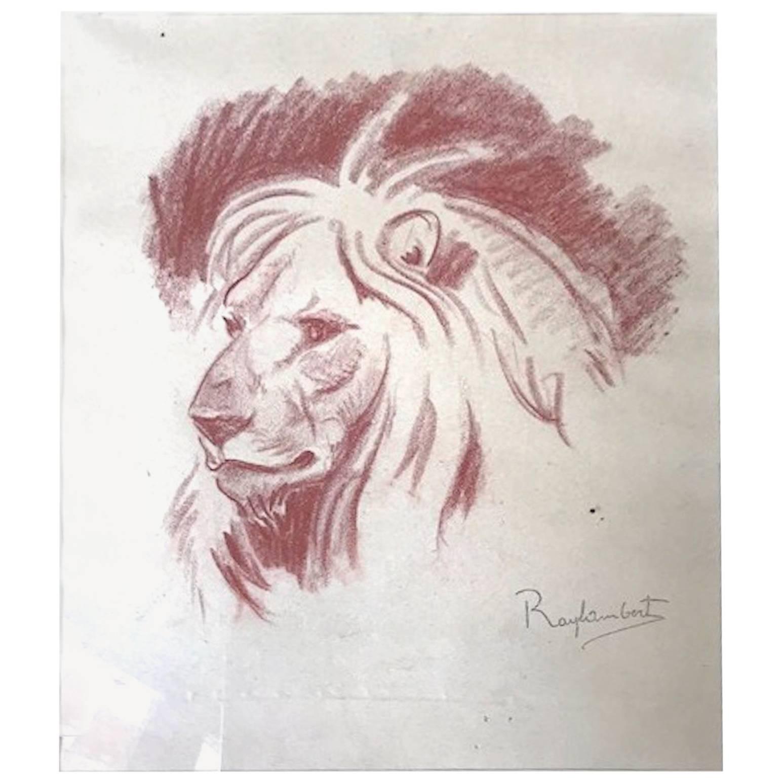 Paul Jouve Period Original French Drawing Most of Lion by Raylambert , 1940