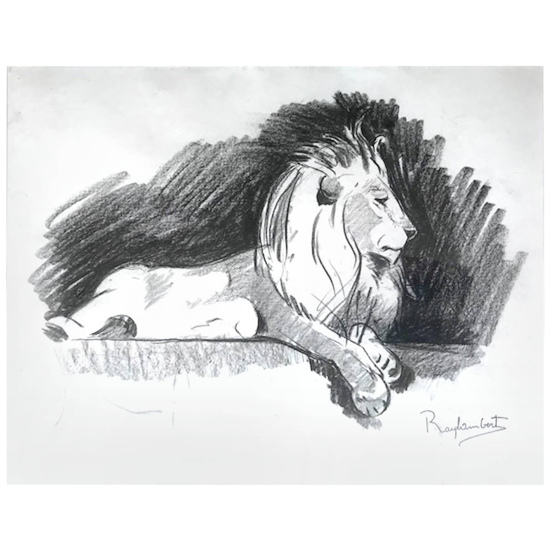 Paul Jouve Period Original French Drawing Most of Lion by Raylambert, 1940