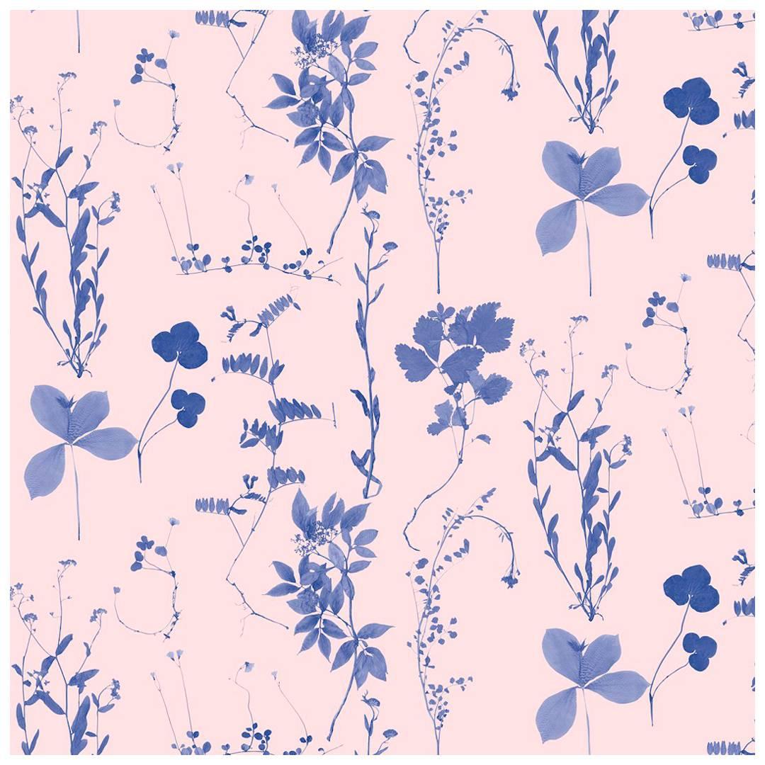 Herbario Designer Wallpaper in Euphoria 'Blue on Peachy Pink'