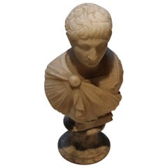 19th Century Grand Tour Souvenir Bust