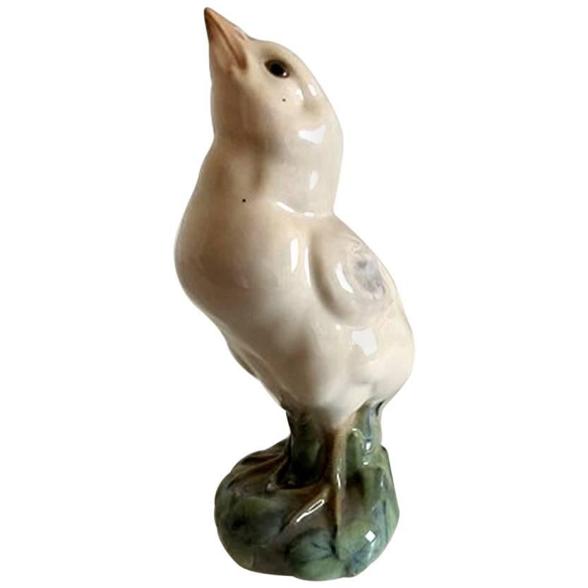 Royal Copenhagen Figurine Turkey Chick #1185 For Sale