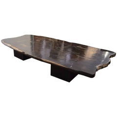 Andrianna Shamaris Super Smooth Petrified Wood Coffee Table or Dining Table