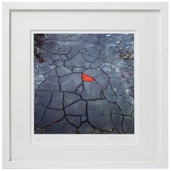 Lithograph by Andy Goldsworthy, England