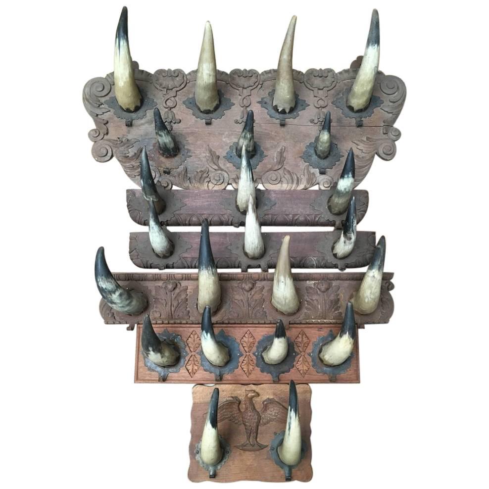 Collection of Six Artisanal Horn Coat Racks, Ideal for Decoration of Cabin