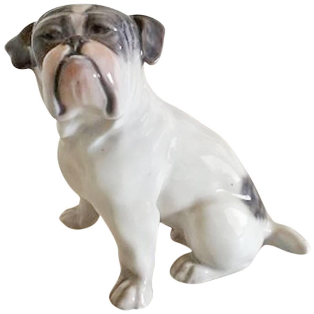 Royal Copenhagen Figurine English Bulldog #1452/2802 For Sale