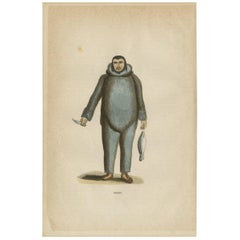 Antique Print of an Eskimo by H. Berghaus, 1855