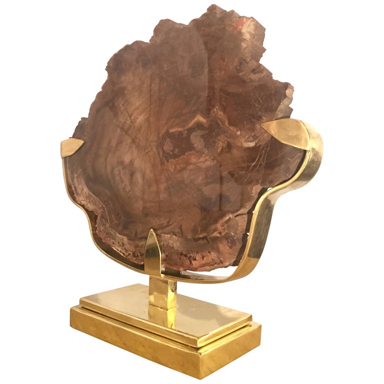 Fishes in Petrified Wood Sculpture Exceptional Piece For Sale at 1stdibs