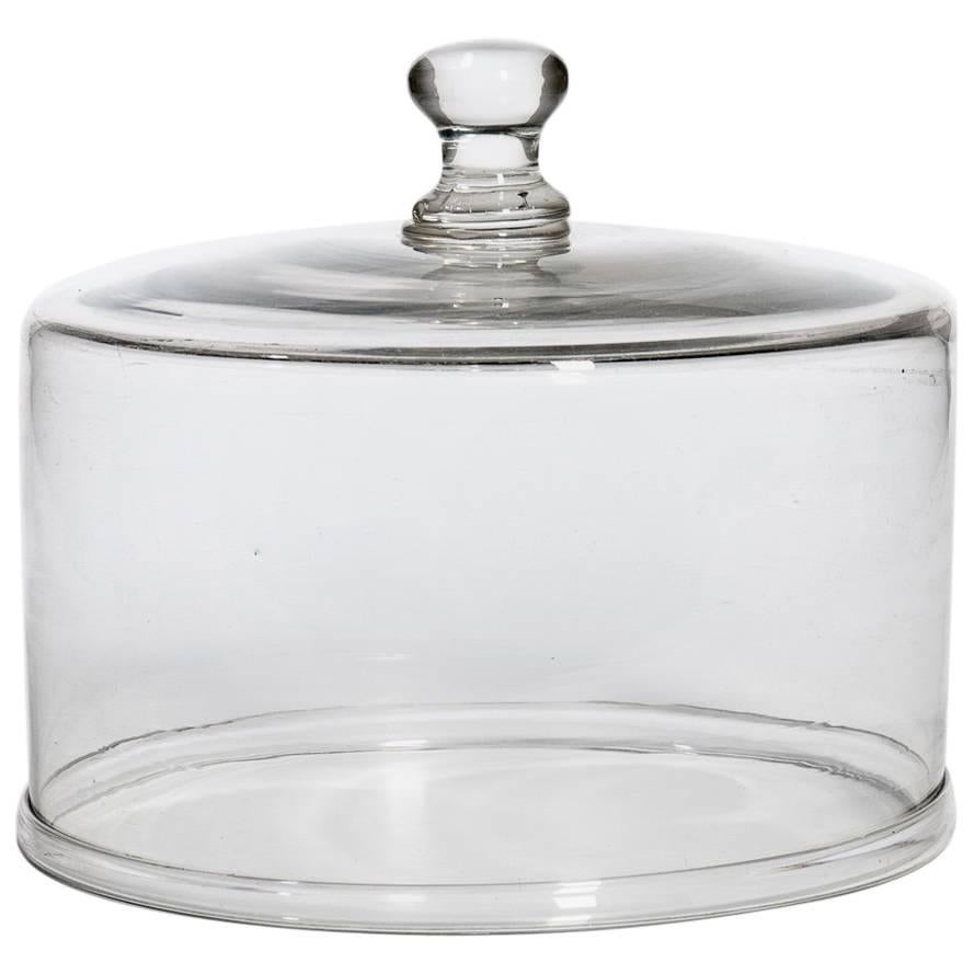 Large 19th Century Blown Glass Food Dome