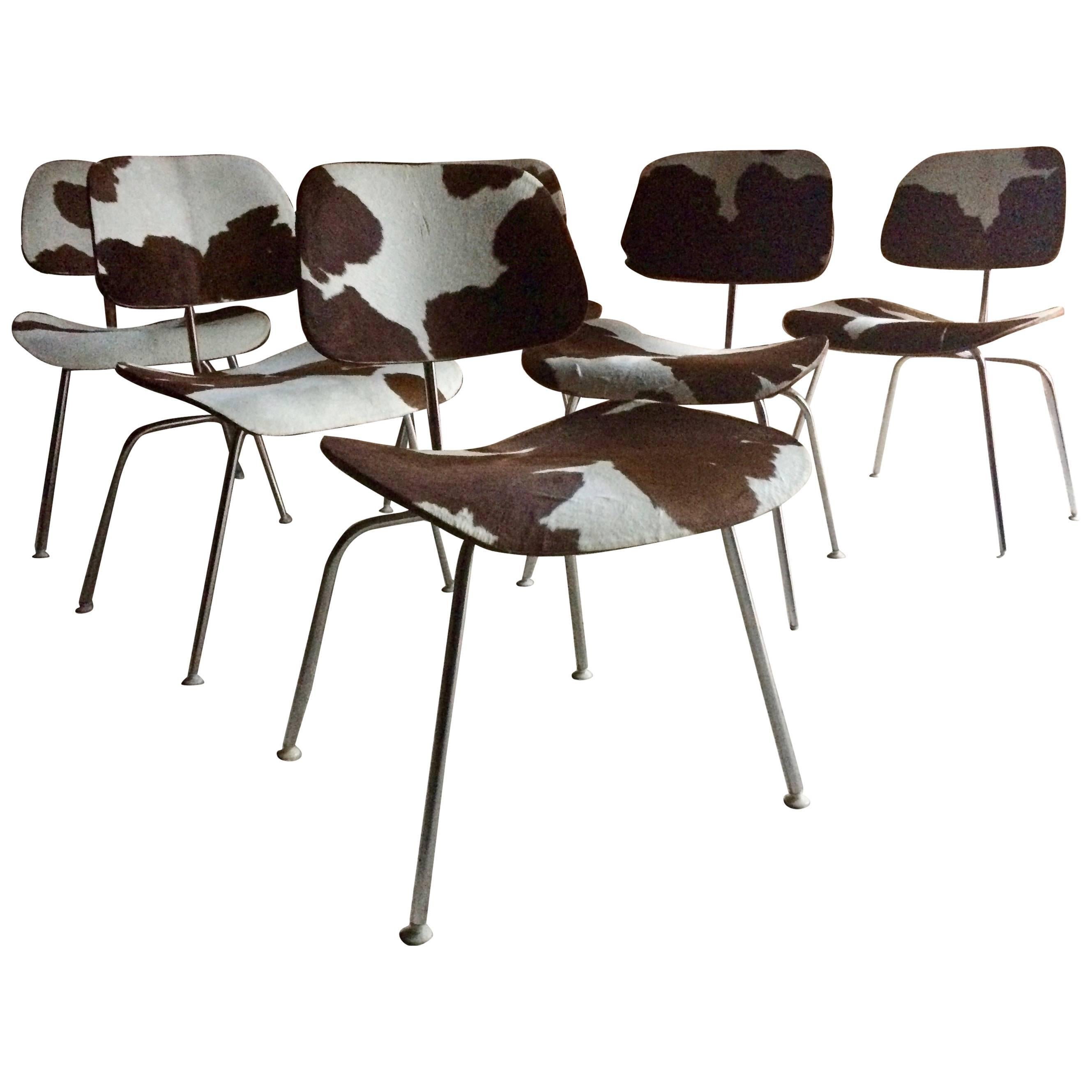 Charles and Ray Eames DCM Chairs Dining Six Calf Skin Herman Miller1960s