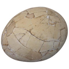 Restored Aepyornis Egg, Very Rare