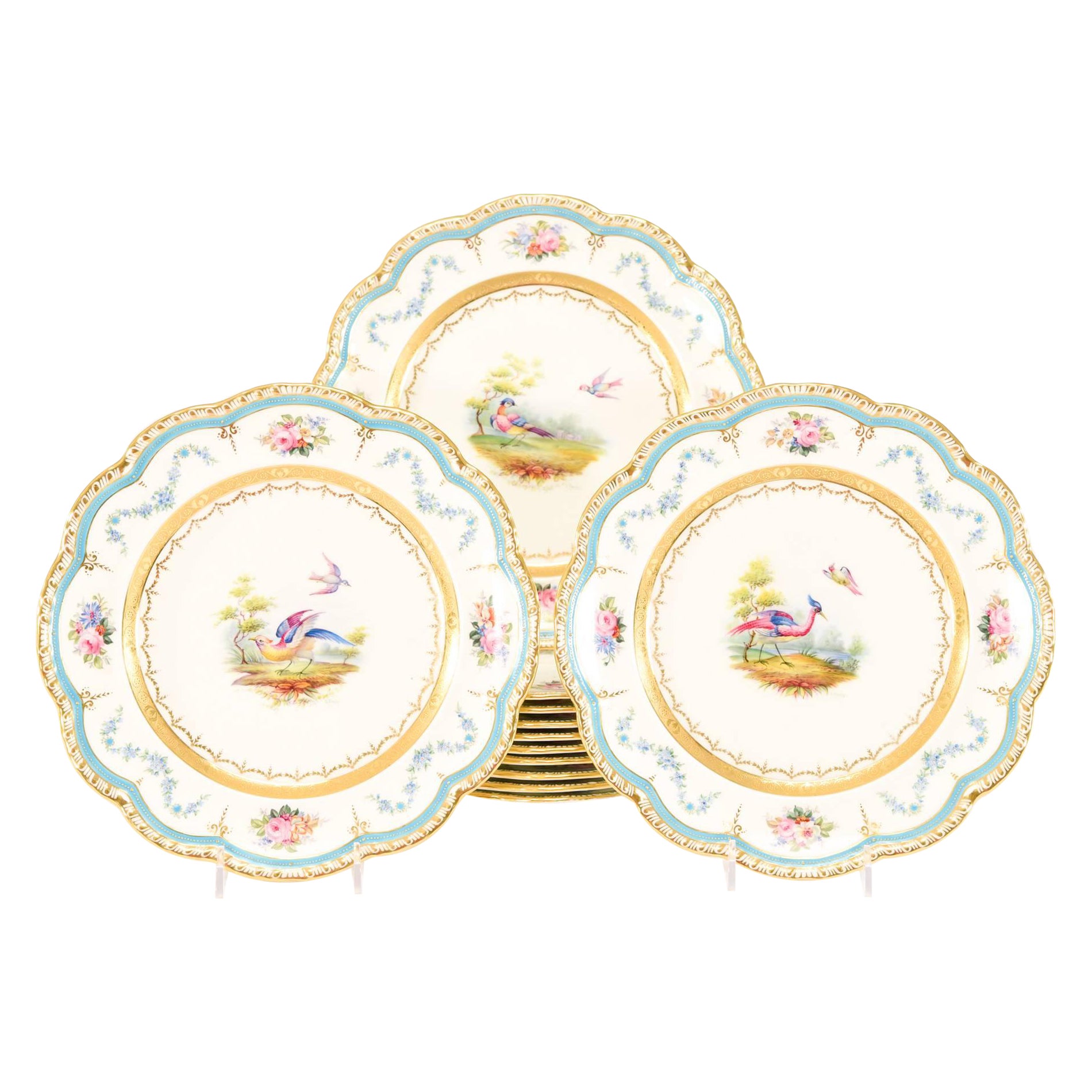 12 Cauldon dipinti a mano firmati G Rowley Ornati Uccelli Esotici e Dessert Floreali