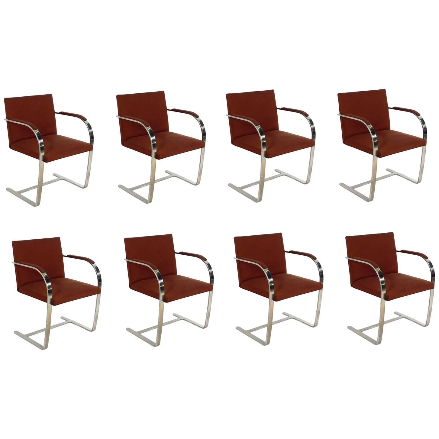 Set of Eight Chrome Brno Dining Chairs by Mies van der Rohe for Gratz Industries