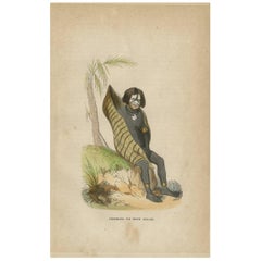 Antique Print of an Inhabitant of New Ireland 'Papua Guinea' by H. Berghaus 1855