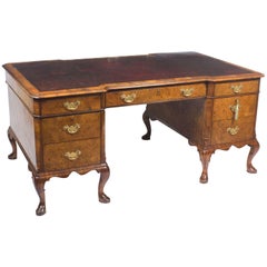 Antique Early 20th Century Burr Walnut Partners Pedestal Desk in Queen Ann Style