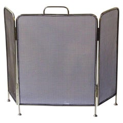 Victorian Style Fireplace Screen or Fire Screen