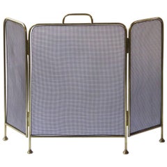 Victorian Style Fireplace Screen or Fire Screen