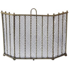 Vintage English Victorian Style Fireplace Screen or Fire Screen