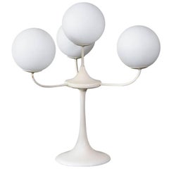 Tulip Table Lamp with Frosted Globes by Temde Leuchten