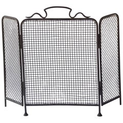 Antique 19th Century English Fireplace Screen or Fire Screen