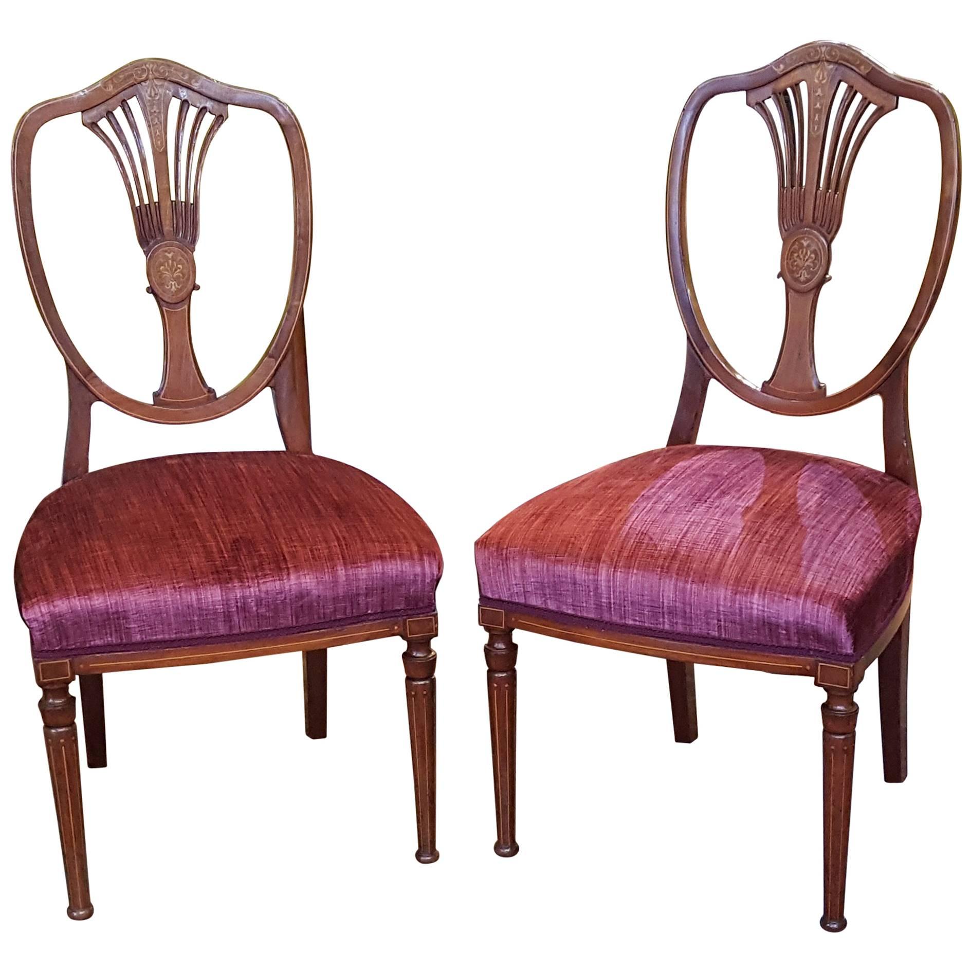 Pair of Edwardian Mahogany and Marquetry Chairs