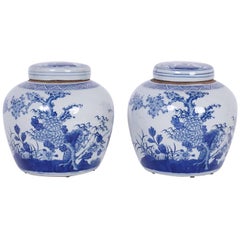 Pair of Blue and White Porcelain Ginger Jars