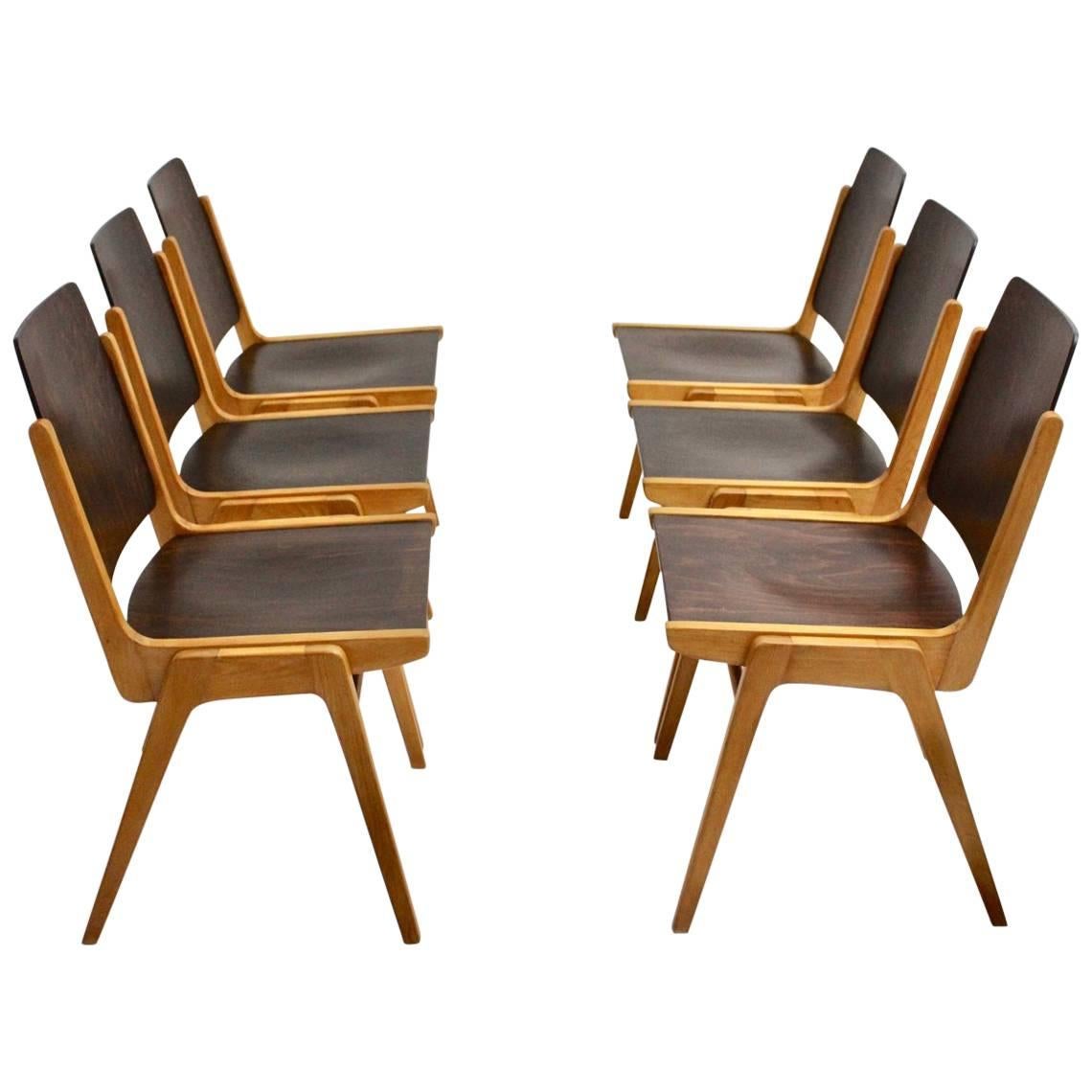 Midcentury Brown Beech Dining Room Chairs Franz Schuster Vienna 1959, Set of Six