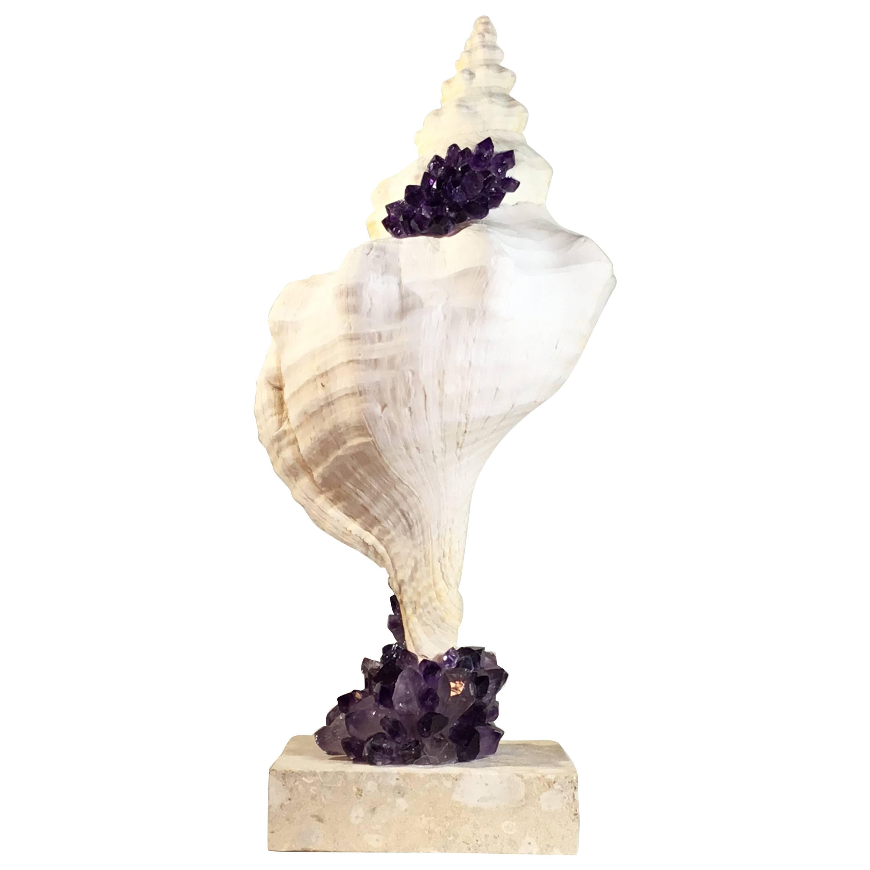 One of a Kind Sea Shell and Amethyst Crystal For Sale