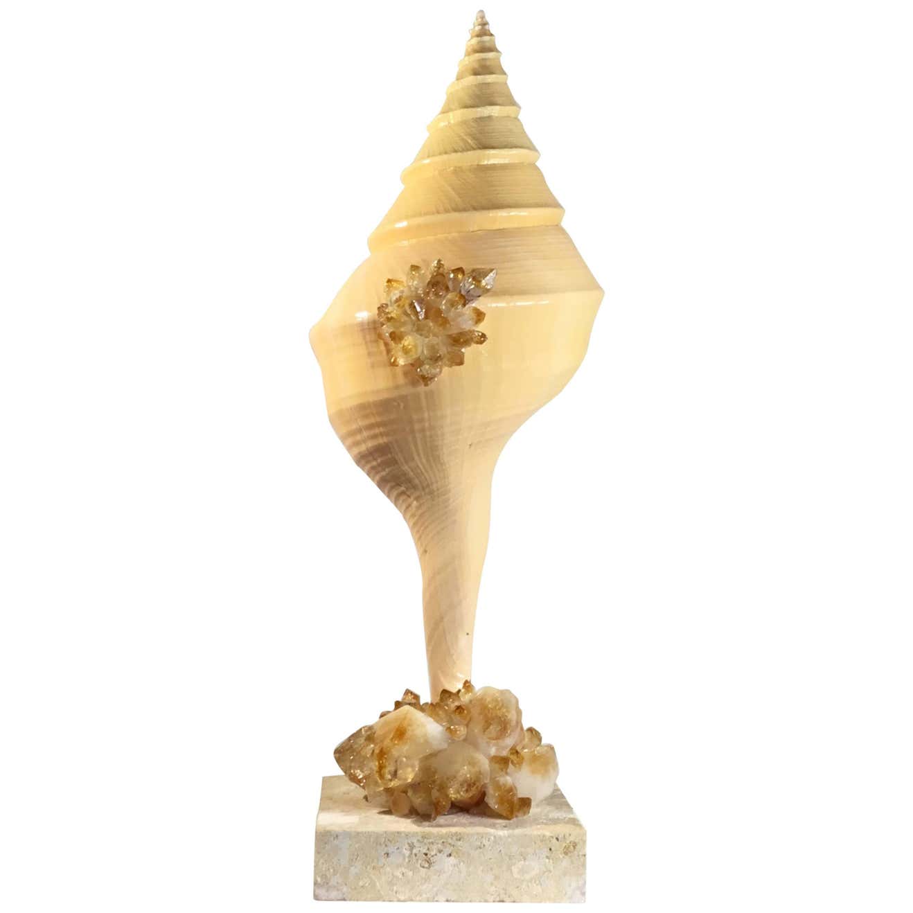 Large One of a Kind Sea Shell and Citrine Crystal For Sale at 1stDibs