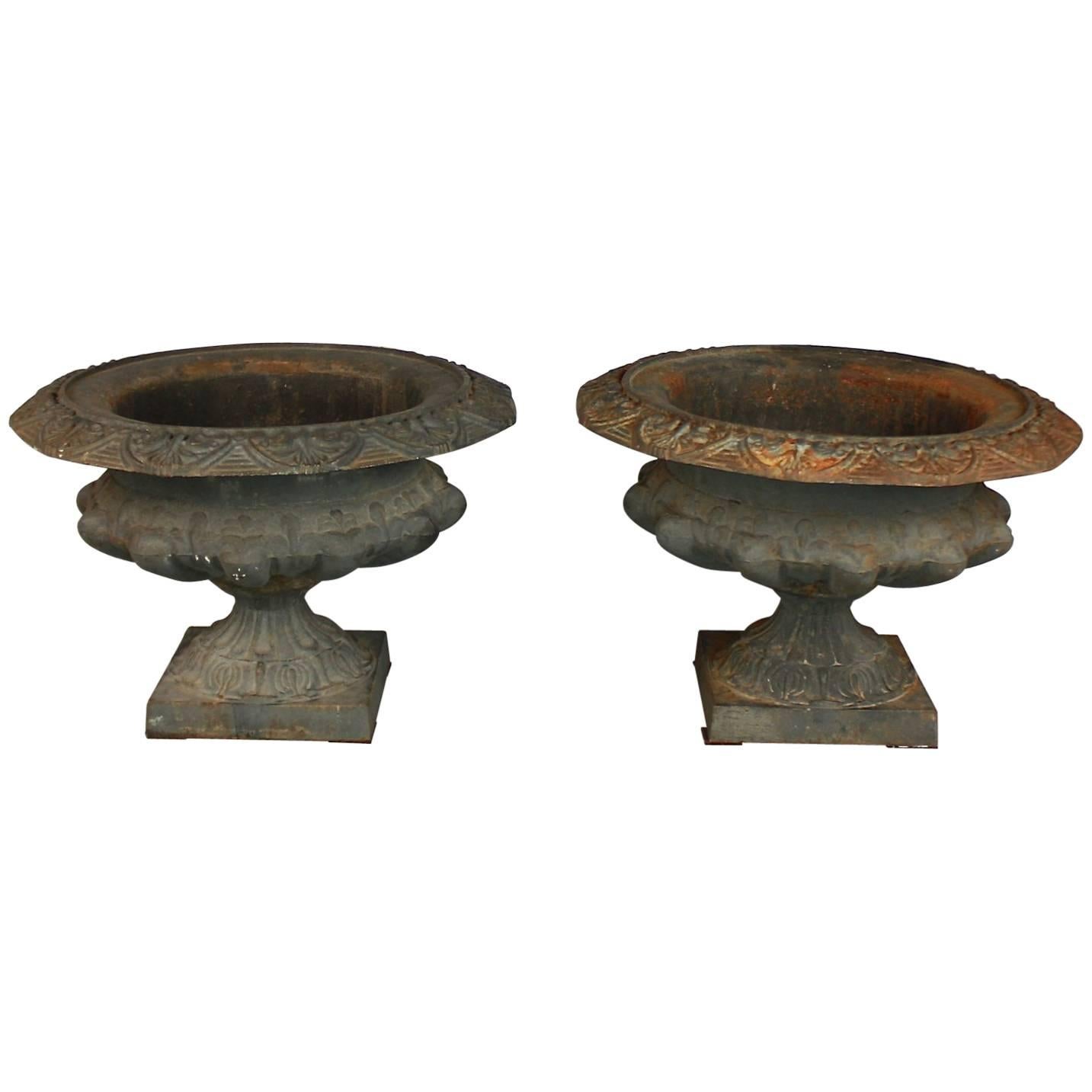 Pair of Cast Iron Urns or Jardinieres, Late 19th Century For Sale
