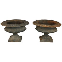 Antique Pair of Cast Iron Urns or Jardinieres, Late 19th Century