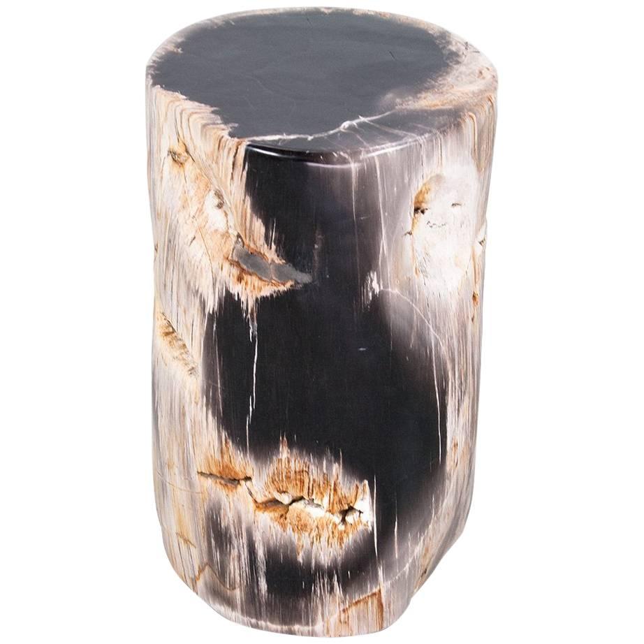 Petrified Wood Polished Side Table or Pedestal of High Quality 
