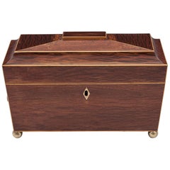 Regency Partridgewood Brass Tea Chest, 19th Century