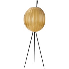 Tripod Cocoon Floor Lamp