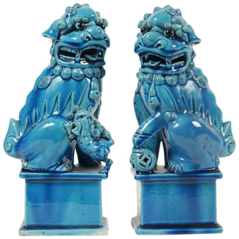 Paire of Turquoise Porcelain and Enamel Pho Dogs, circa 1900