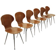 Six Dining Chairs by Carlo Ratti for Industria Legni Curvati, 1950s