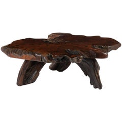 Organic Root Coffee Table