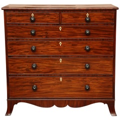 Early 19th Century English Regency, Mahogany Chest of Drawers
