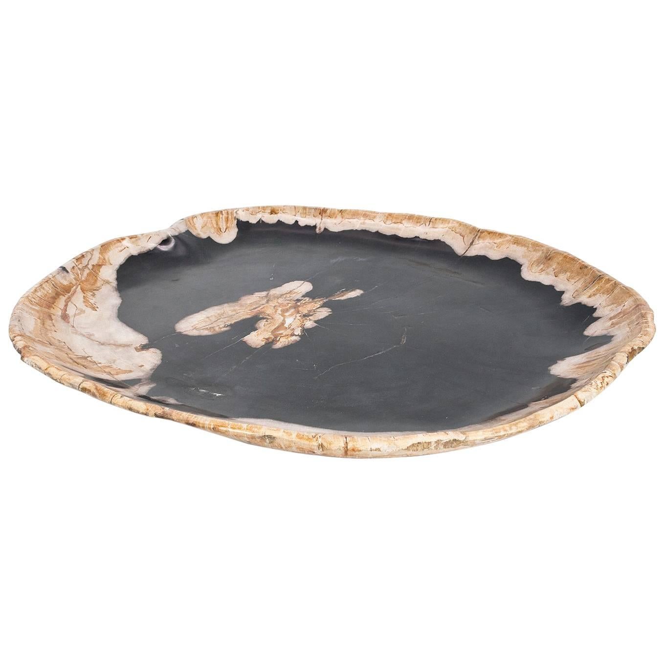 Large Petrified Wood Plate or Platte Home Accessory of Organic Origin