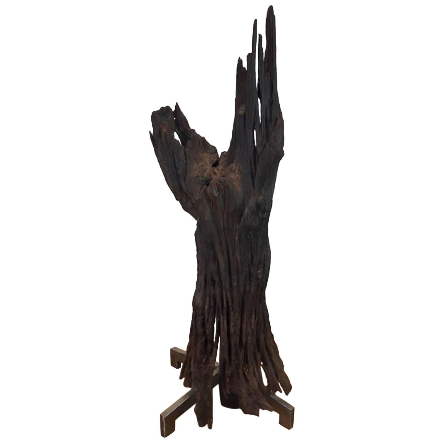 Ironwood and Steel Sculpture For Sale