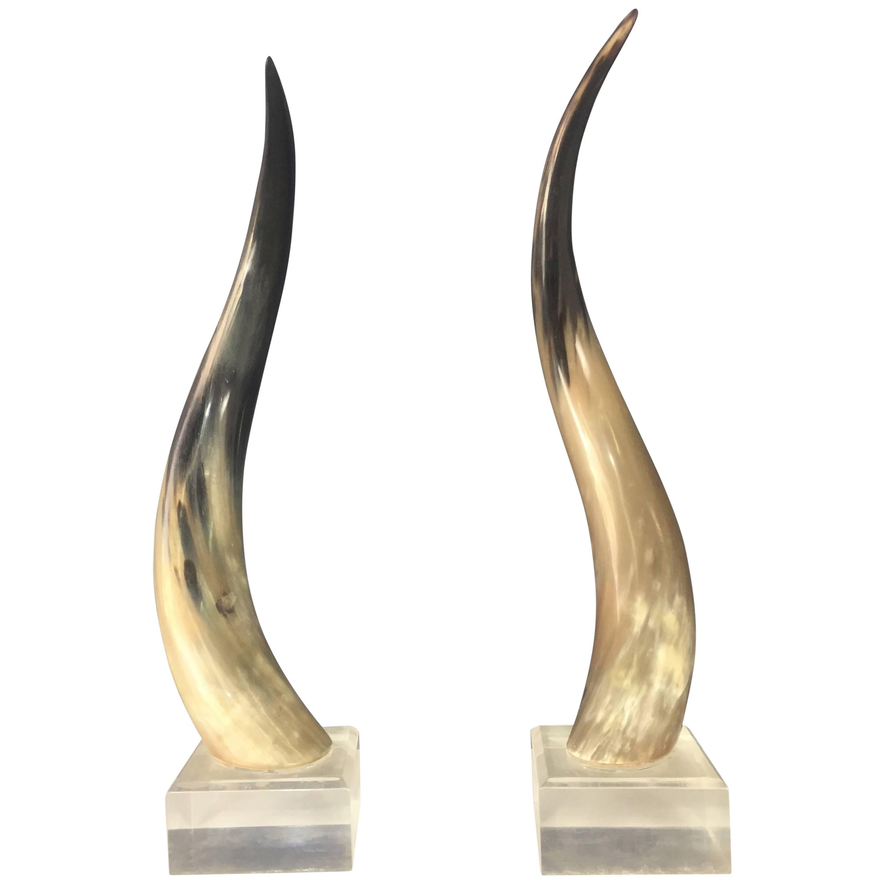Steer Horns Mounted on Lucite Bases a Pair in the Mid Century Style