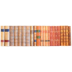 Meter of Early 20th Century Leather Bound Books, Series 55