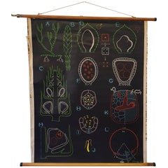 Vintage, Decorative Dr Auzoux Sougy Pull Down School Wall Chart, Botanical