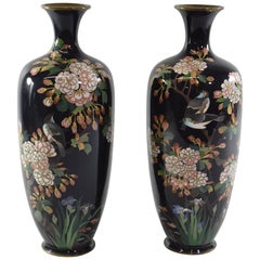 Pair of Black Japanese Cloisonne Vases with Blue Birds, Cherry Blossoms and Iris