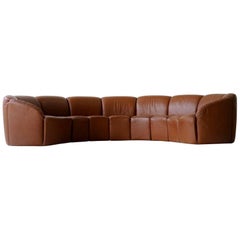 Half Round Leather Lounge Sofa by Walter Knoll, 1960s