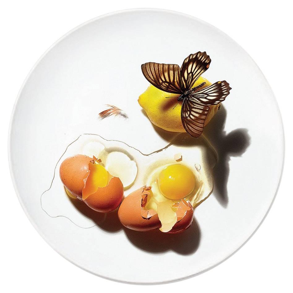 Dish Dinner Plate Series by Patella Brothers