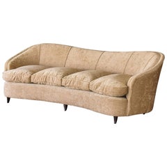 Gio Ponti, Curved Four-Seat Sofa, Beige Velvet, Dark Beech Legs, Italy, 1940s