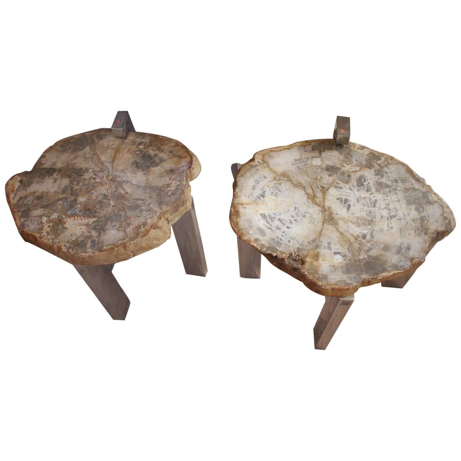 Pair of Petrified Wood Side Tables For Sale